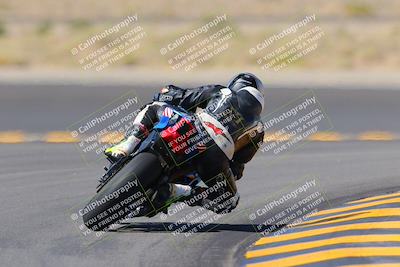 media/Oct-08-2022-SoCal Trackdays (Sat) [[1fc3beec89]]/Turn 11 Backside (1145am)/